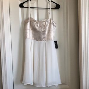 NWT Express metallic chiffon dress